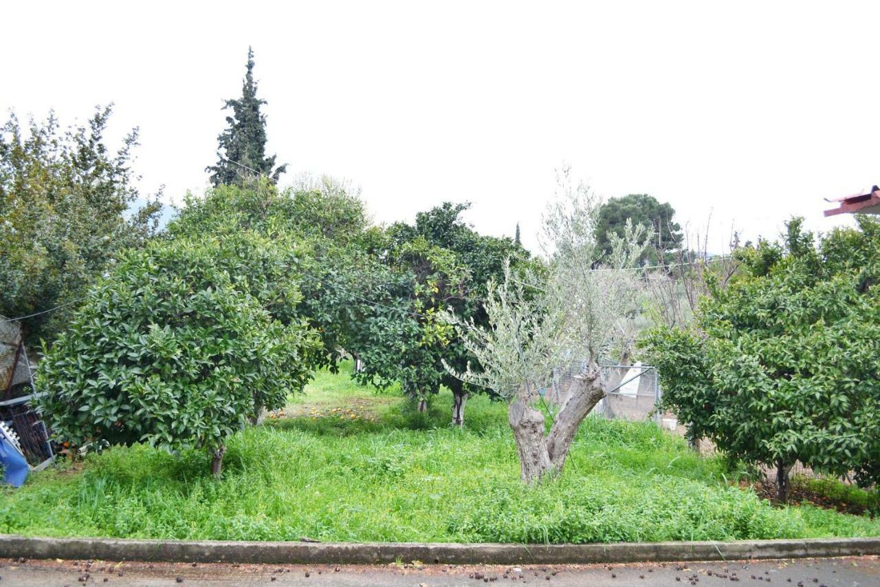 Villa Bella Loukisia Loukissia Extérieur photo